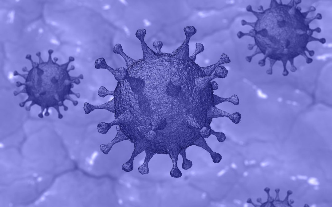 Coronavirus (COVID-19) update 